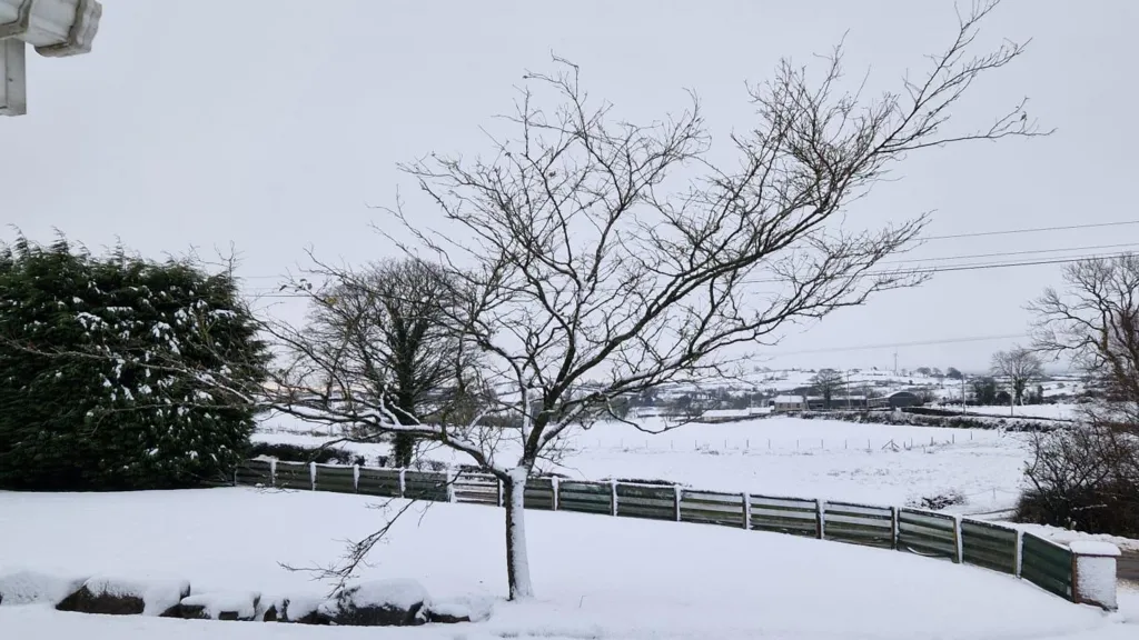 Storm Bert Brings Travel Disruption and Weather Warnings to Northern Ireland