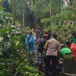 Falling Tree Kills Tourists at Bali's Monkey Forest Sanctuary