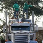 Four Dead as Multiple Tornadoes Strike Southern United States