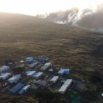 Wildfire Engulfs French Island Puts Rare Albatross Colony in Danger